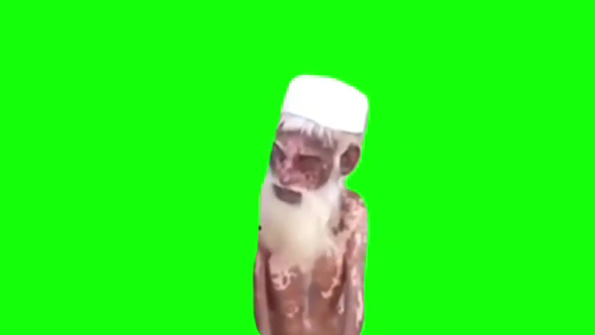 Old man saying bata ta ta ba meme green screen