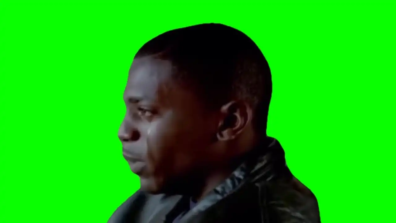 Owes me money meme green screen