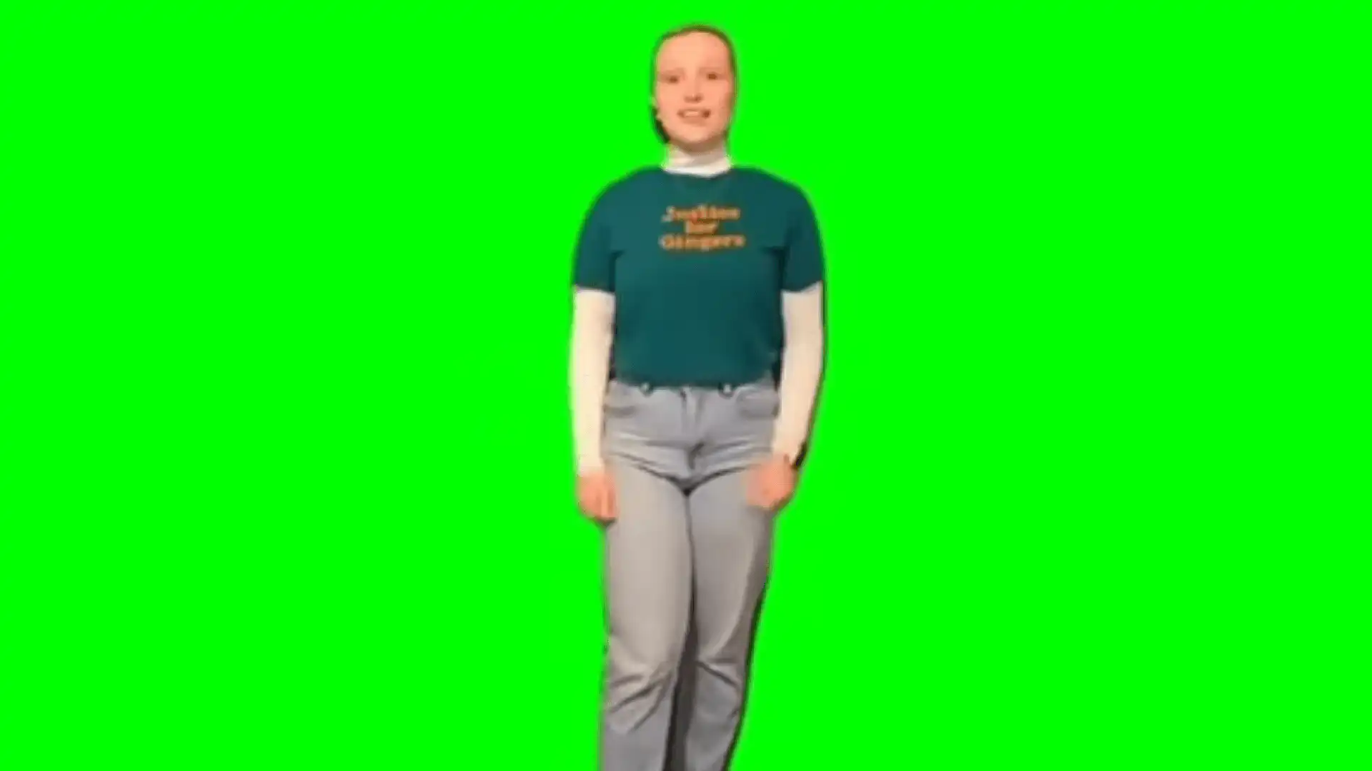 Pack your things and go meme green screen