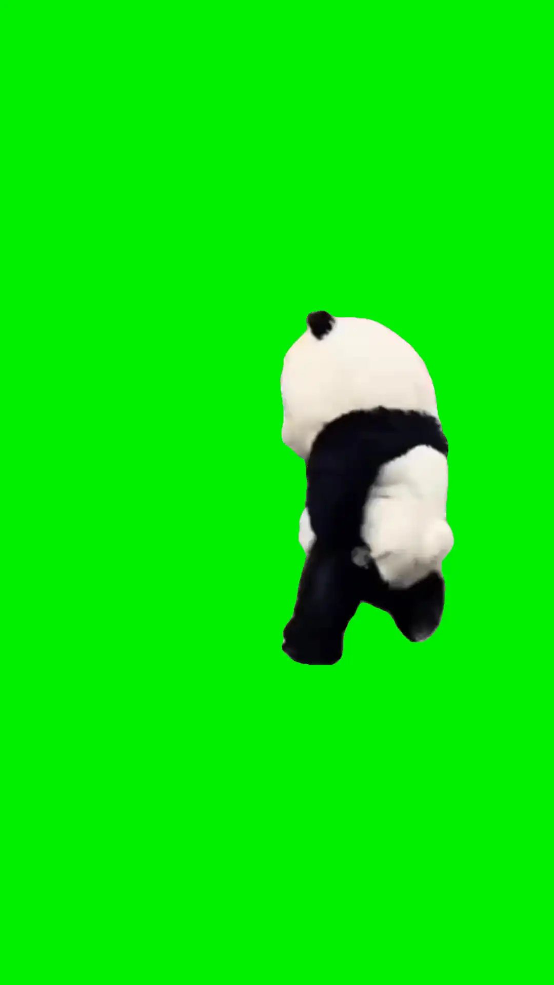 Panda Running Meme Green Screen