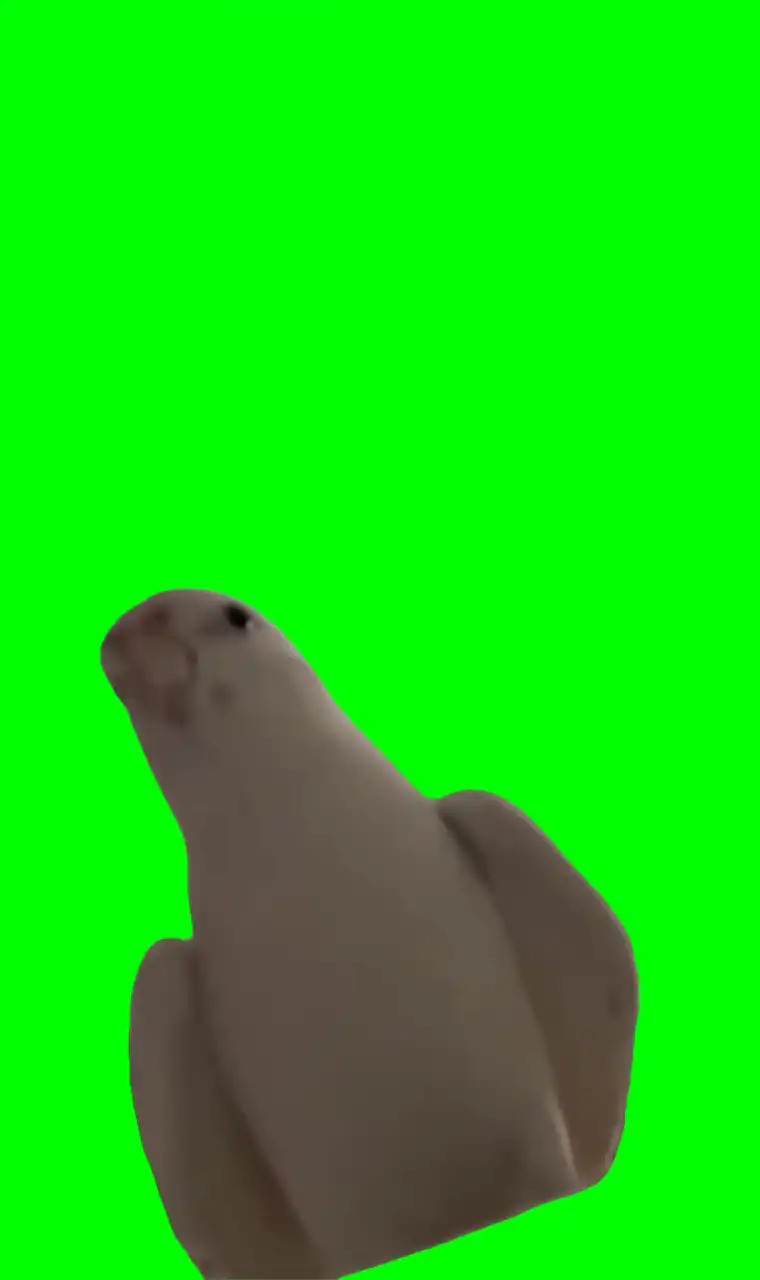 Parot Iphone Alarm Meme Green Screen