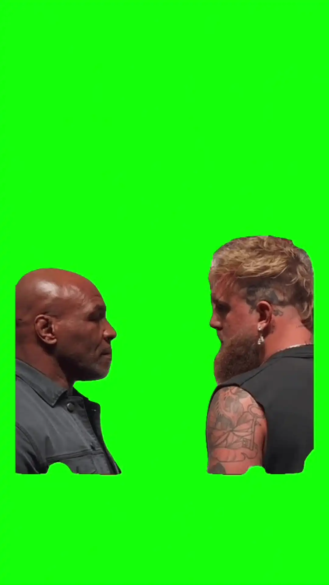 Paul vs Tyson Meme Green Screen
