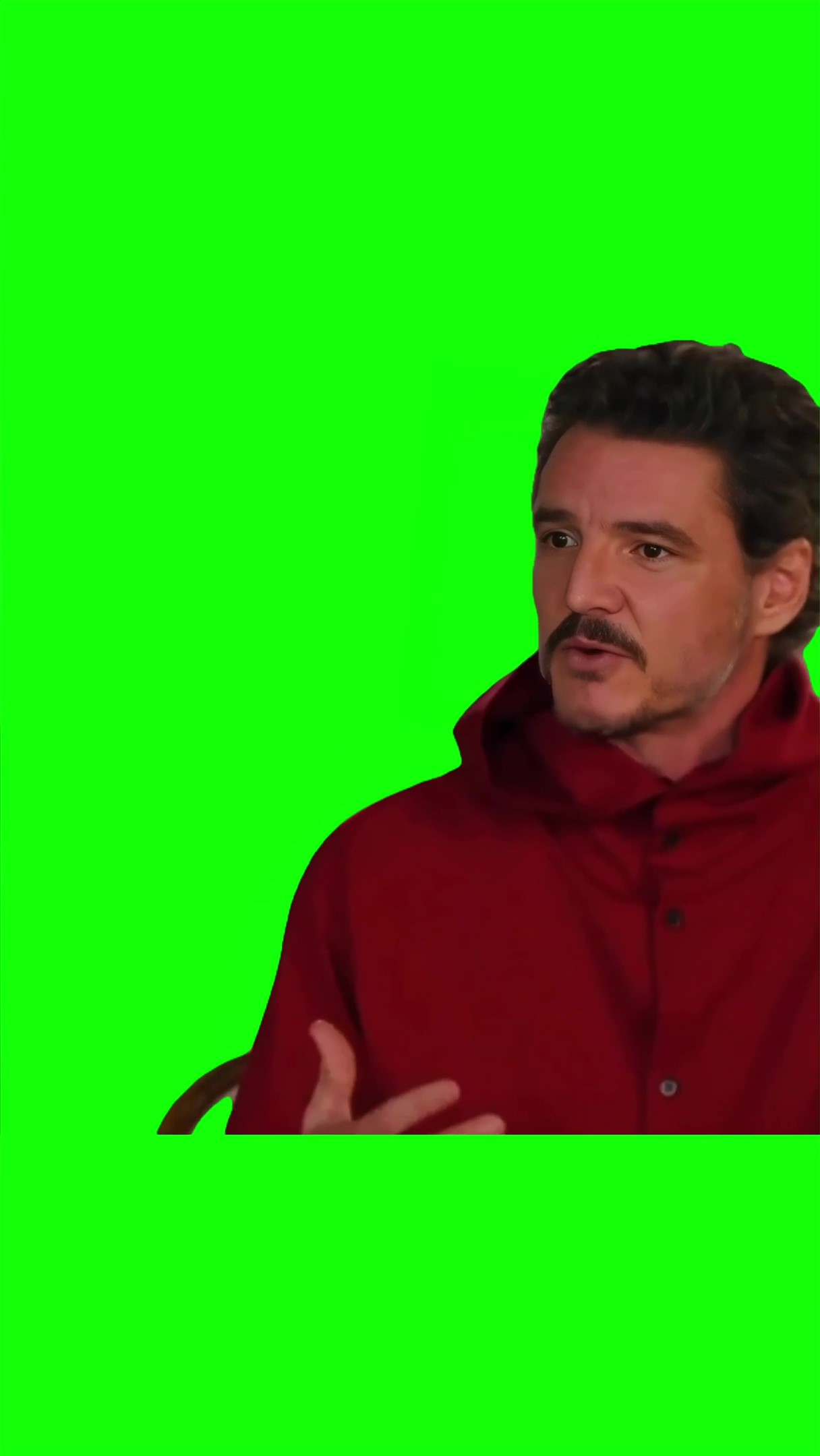 Pedro Pascal I didnt expect everyone to gather around Meme green screen
