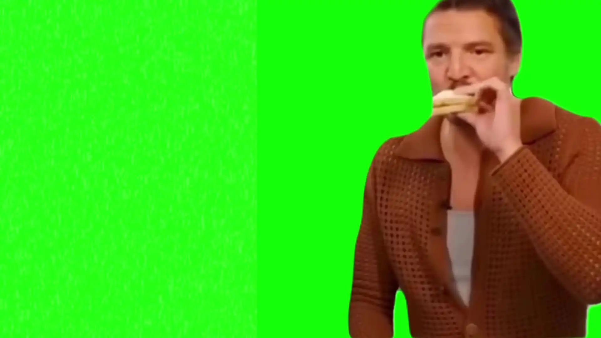 Pedro Rascal eating asmr meme green screen