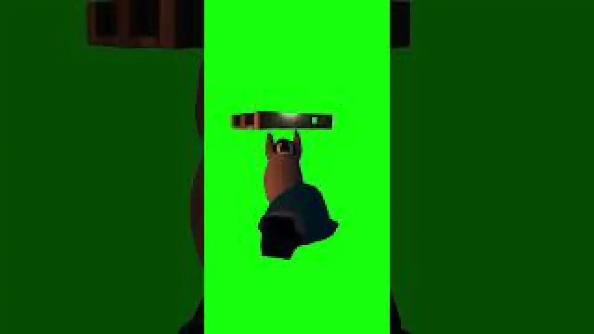 Penguin Beating Up Another Penguin Green Screen