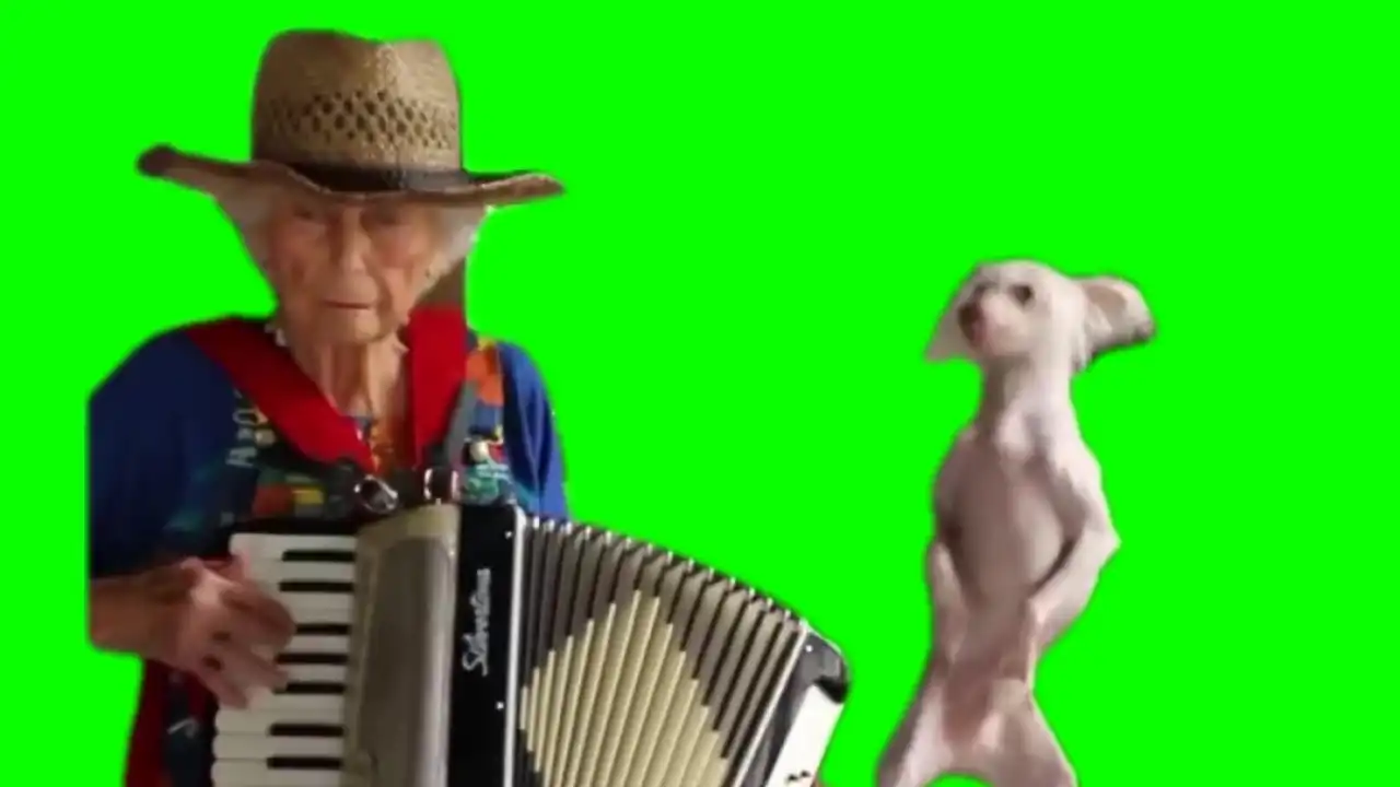 Perfect Duo Meme Green screen