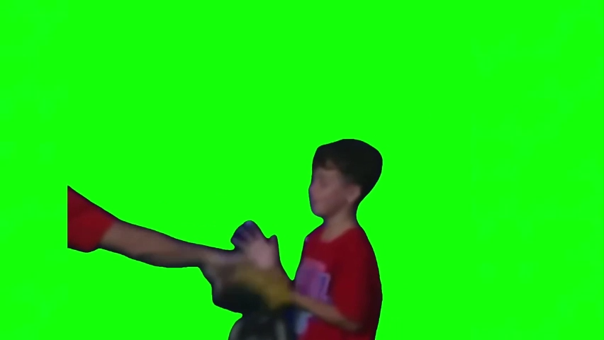 Philly Baseball Karen Green Screen Memes