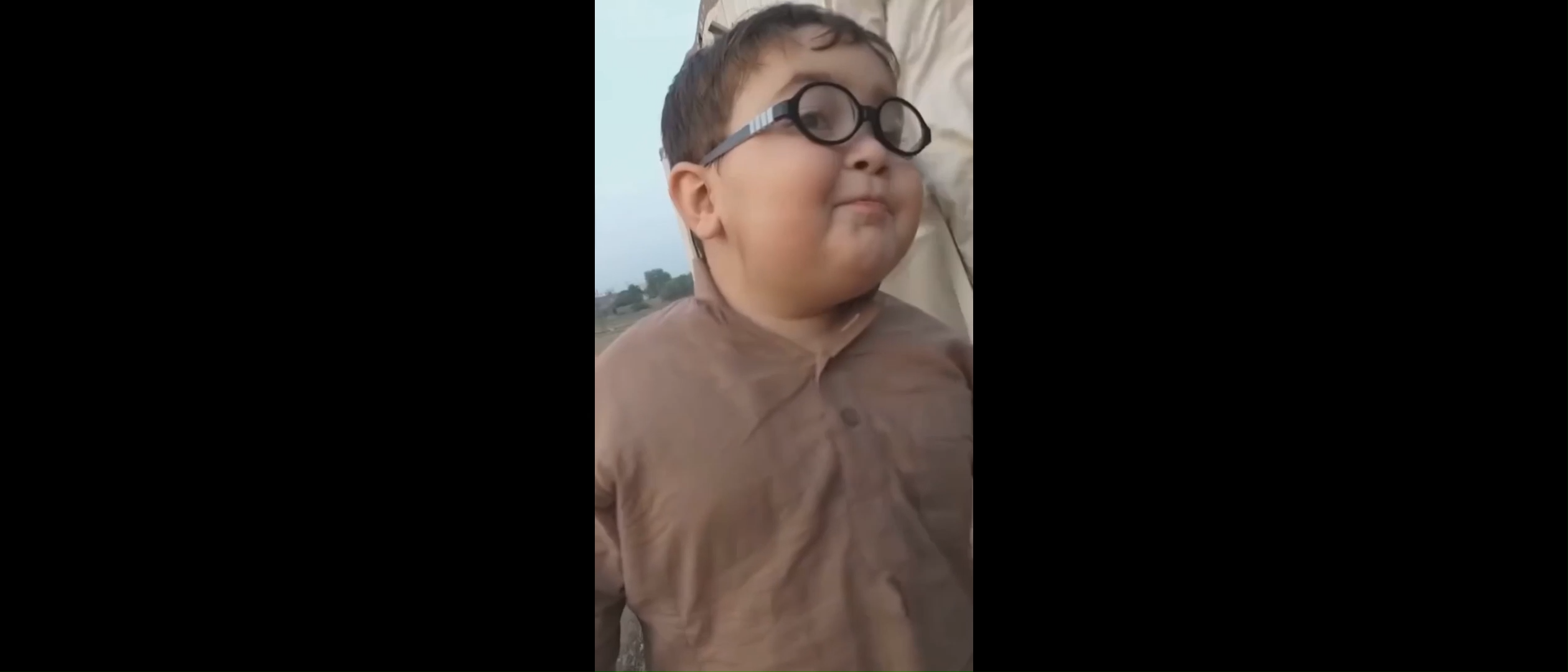 Piche Dekho Funny Meme Video