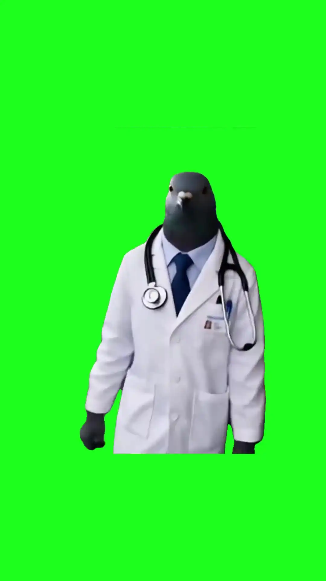pigeon doctor Green Screen Meme