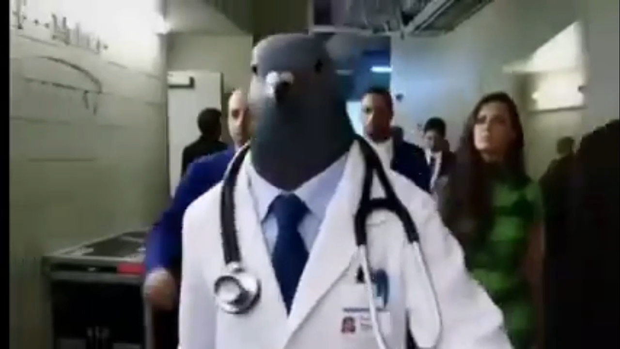 Pigeon Doctor Walking Meme