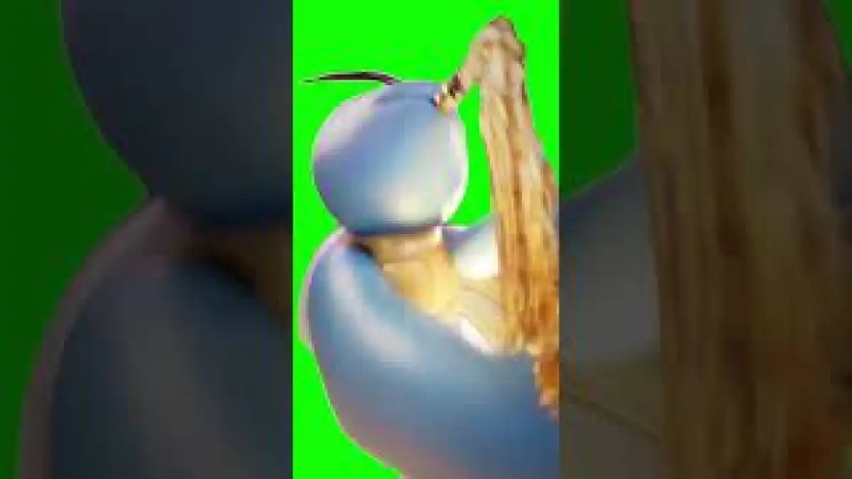 Pokemon Squirtle Saxophone green screen