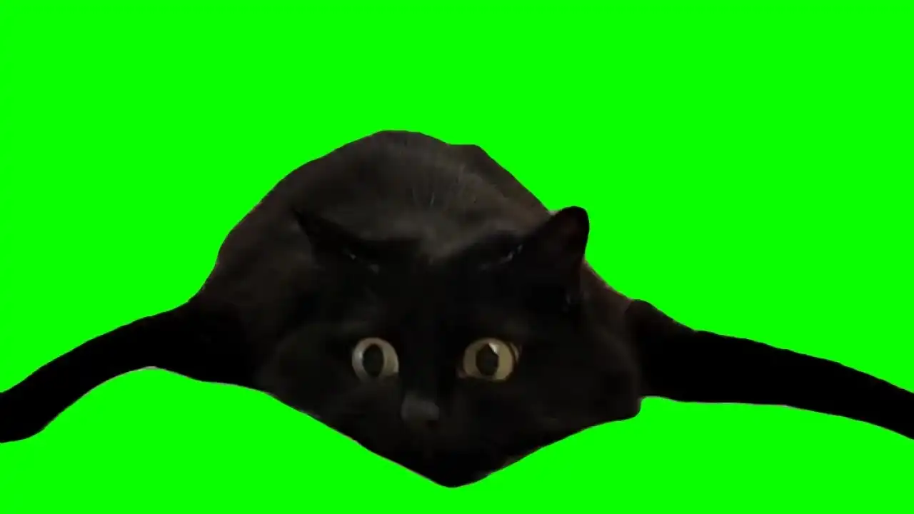 Prey Watching Meme Green Screen