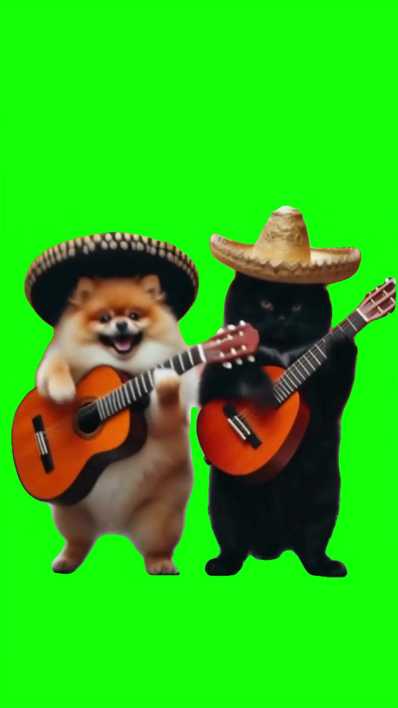 Puppy and cat playing Guitar Meme Green Screen