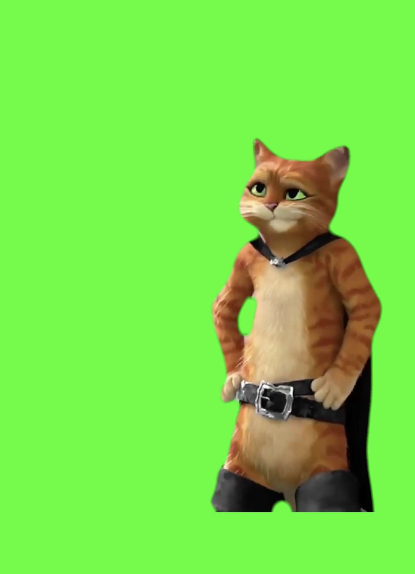 Puss in Boots I Am Not Really a Math Guy Meme Green Screen