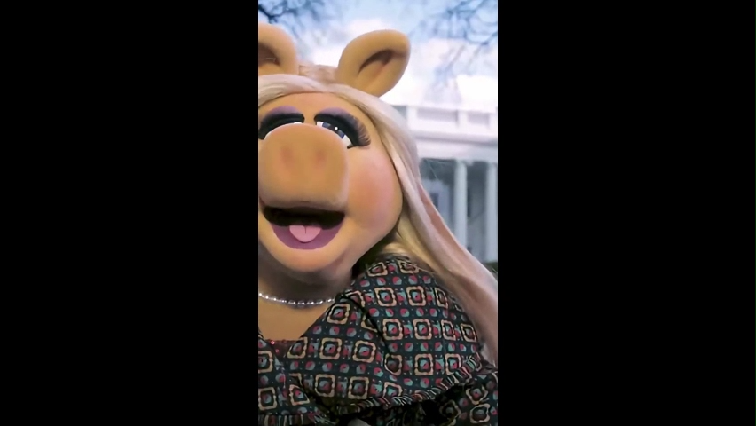 Quiet Piggy Meme Template