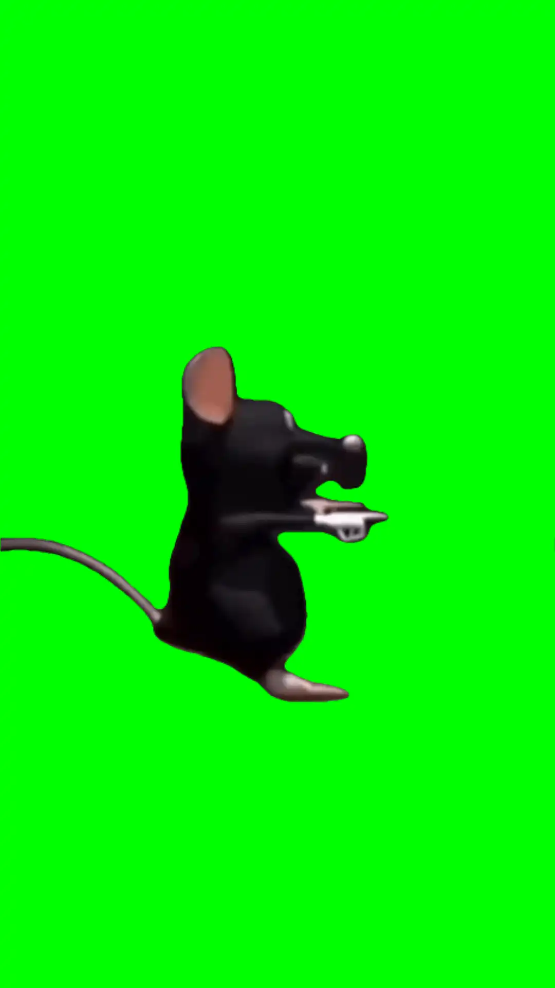 Rat dancing green screen