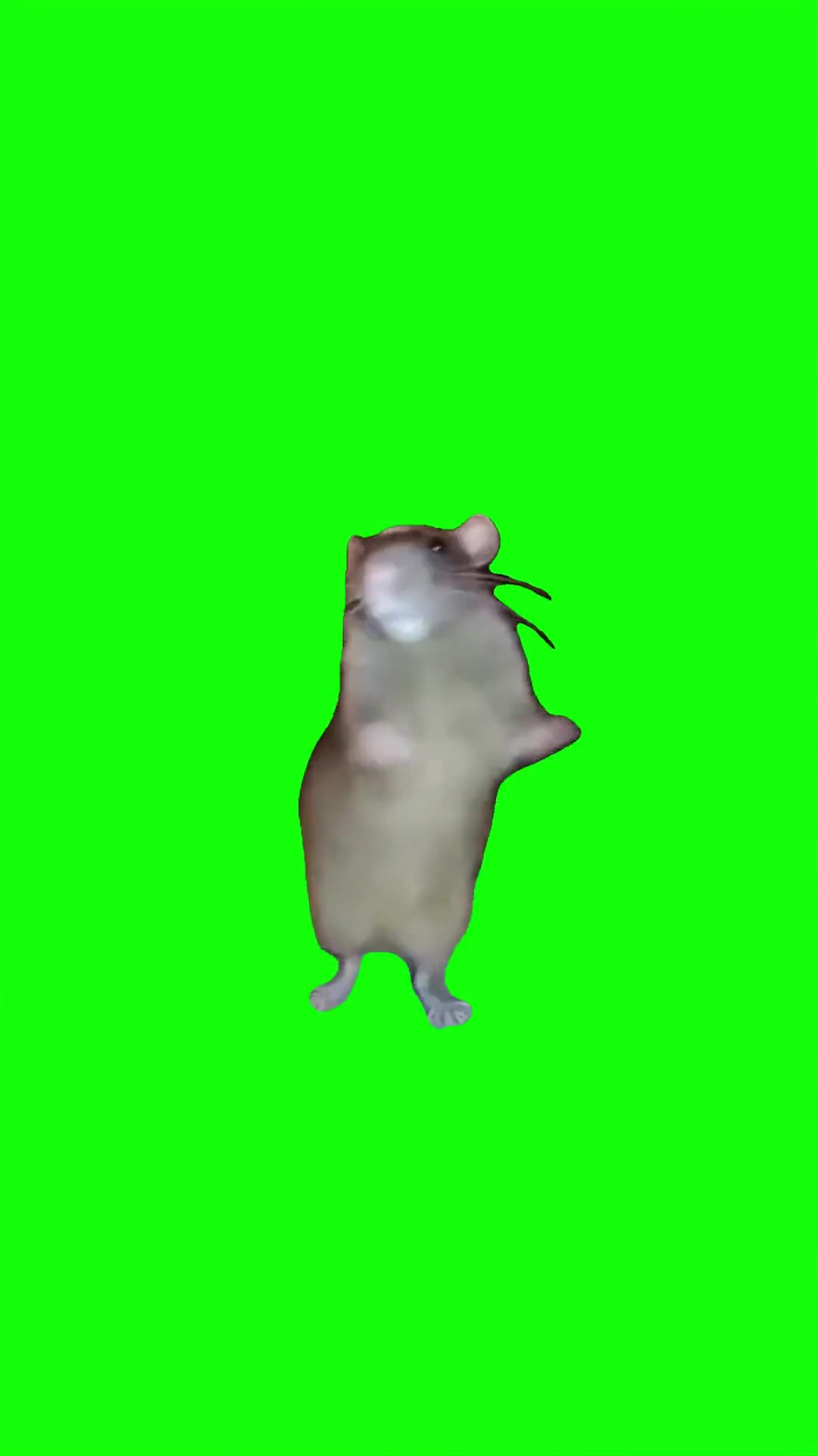 Ratchata dance Green Screen Meme
