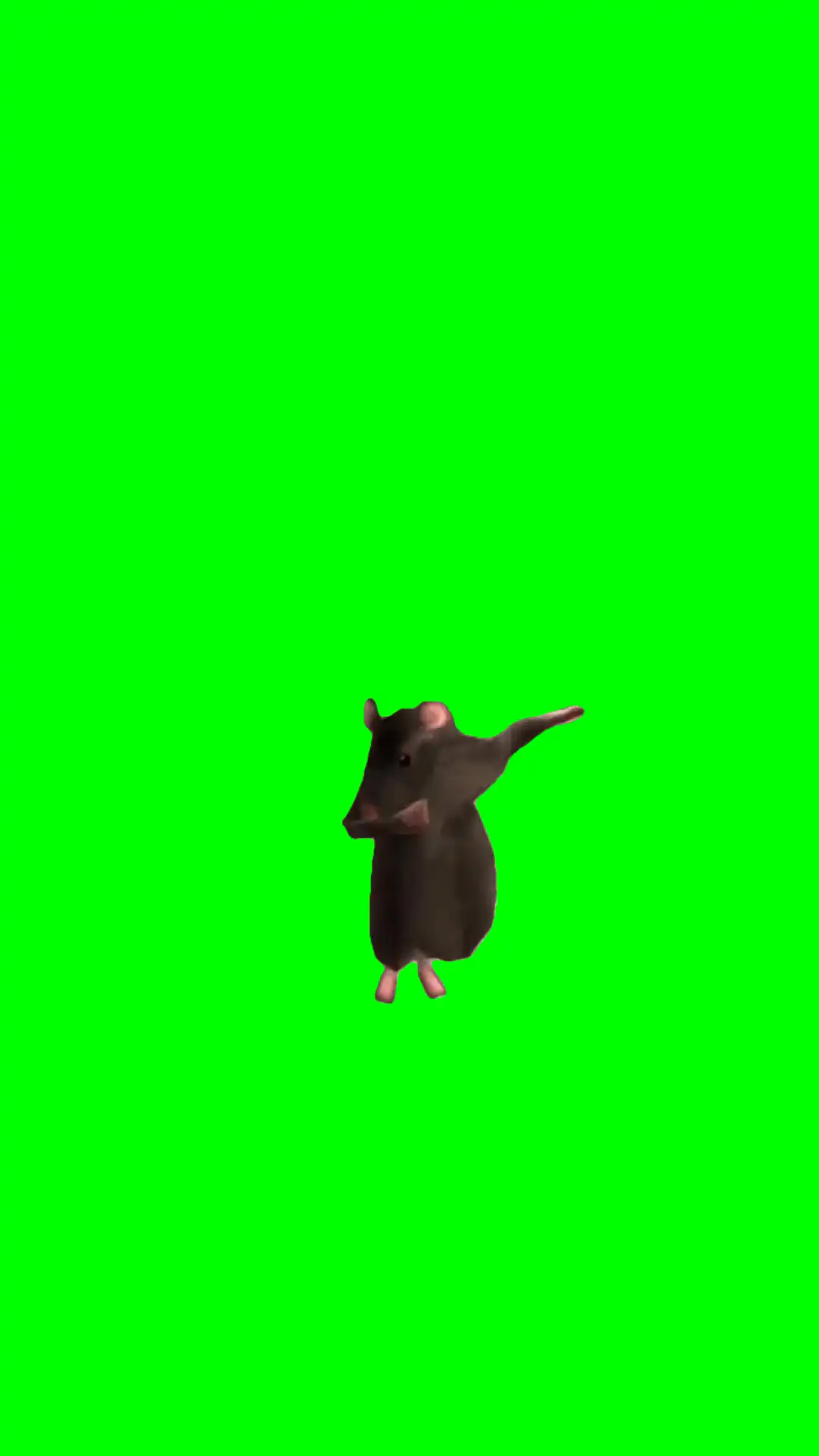 Rats sigma boy green screen