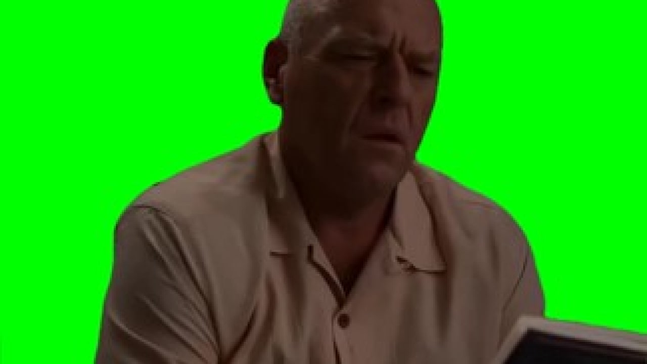 Realization from Hank (Breaking bad) Meme Green Screen