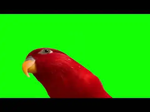 red birb Gumi bye bye green screen