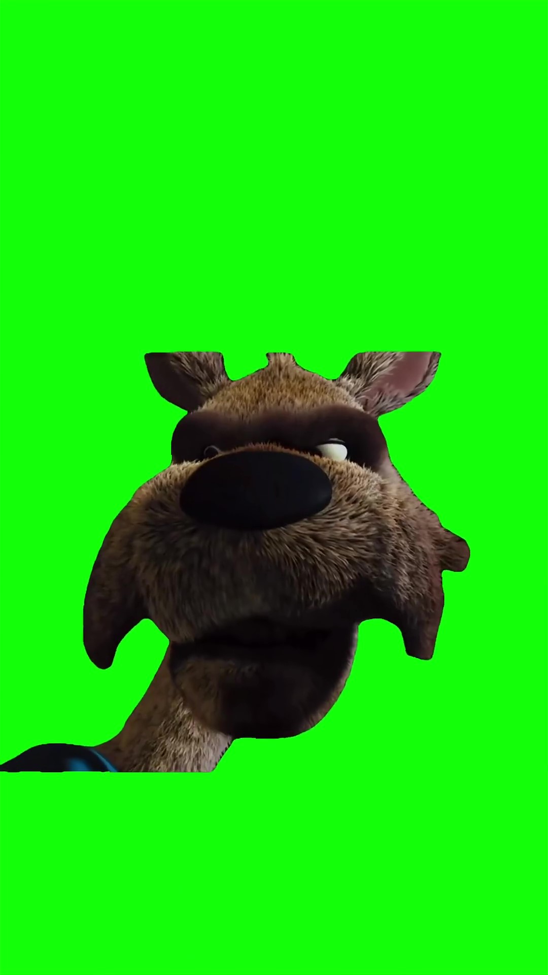 Redhood Stare down Green Screen Meme