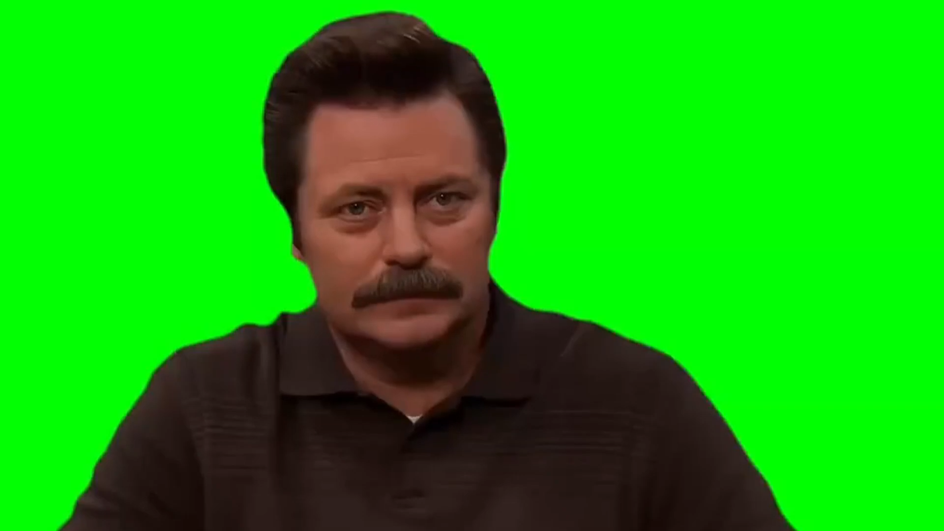 Ron Swanson Its So Beautiful Green Screen Memes