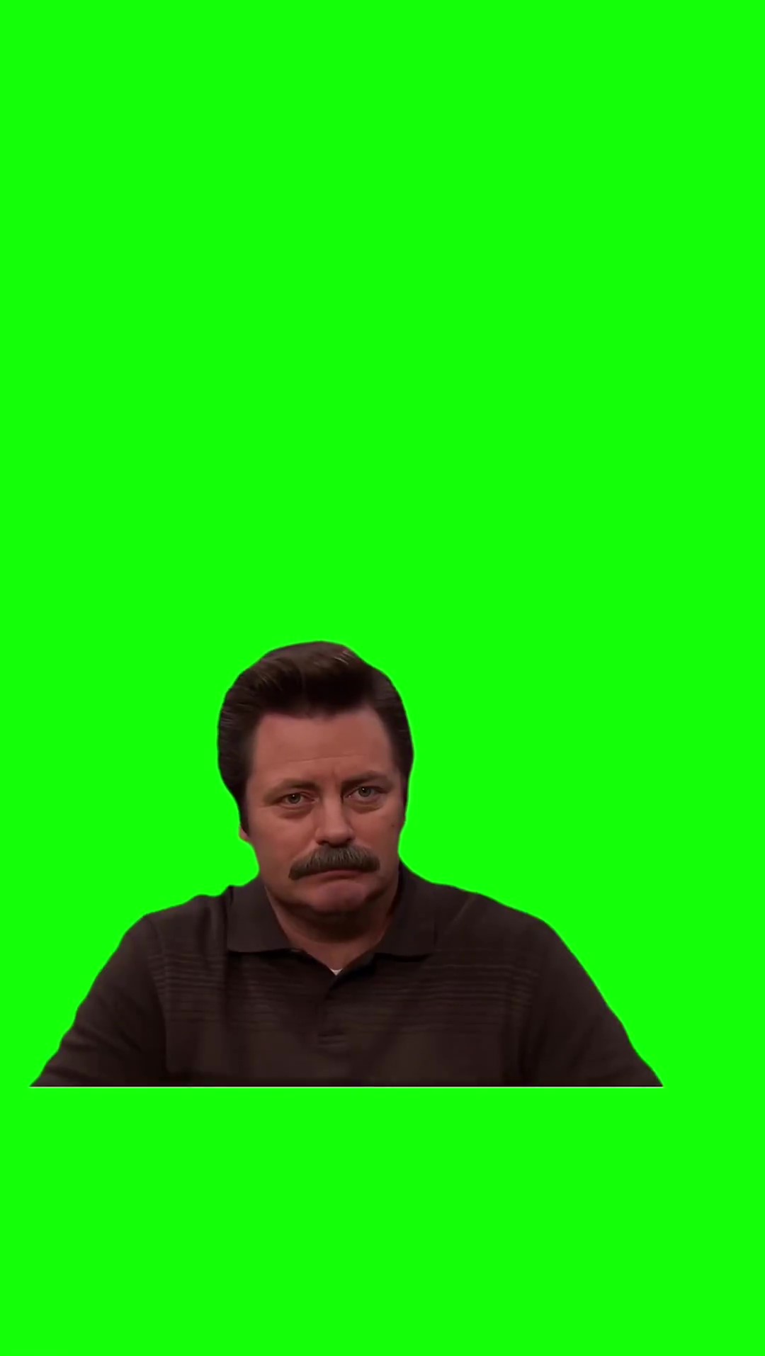 Ron swanson its so beautiful Meme Green Screen