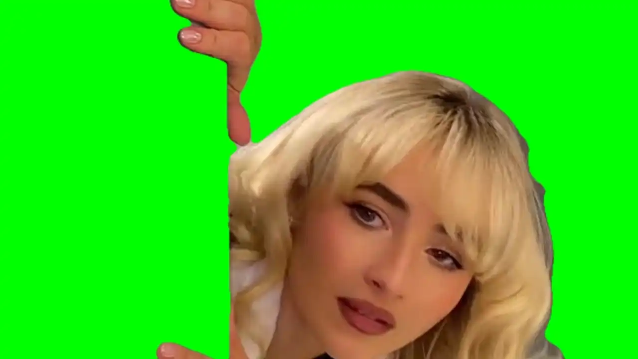 sabrina Carpetner Meme green screen