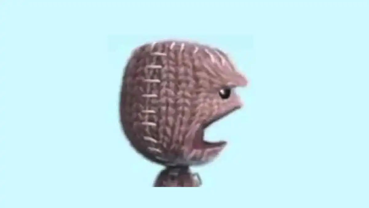 Sack Boy Meme