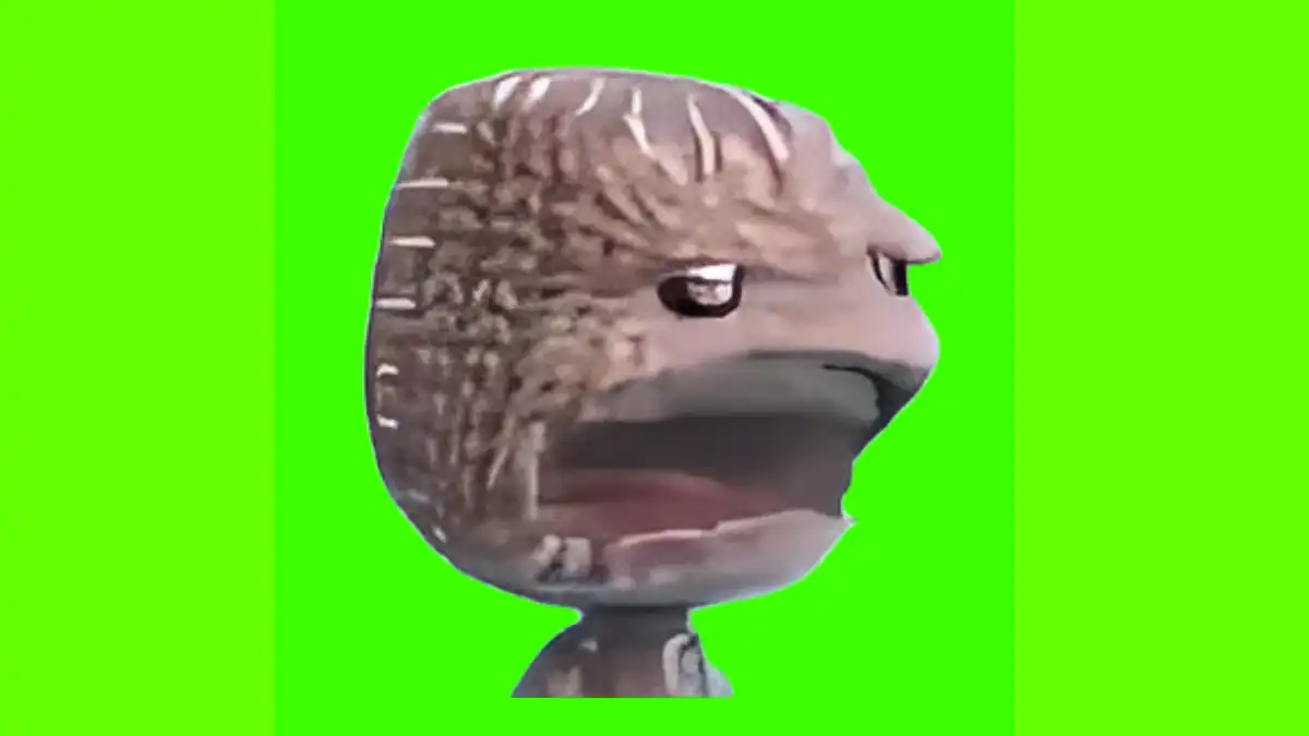 Sackboy Meme Green Screen