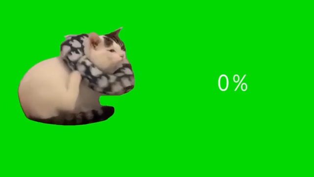 Sad Cat Loading Green Screen Memes