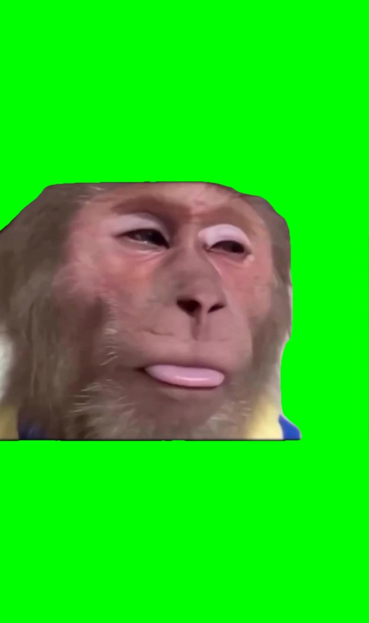 Sad monkey green screen