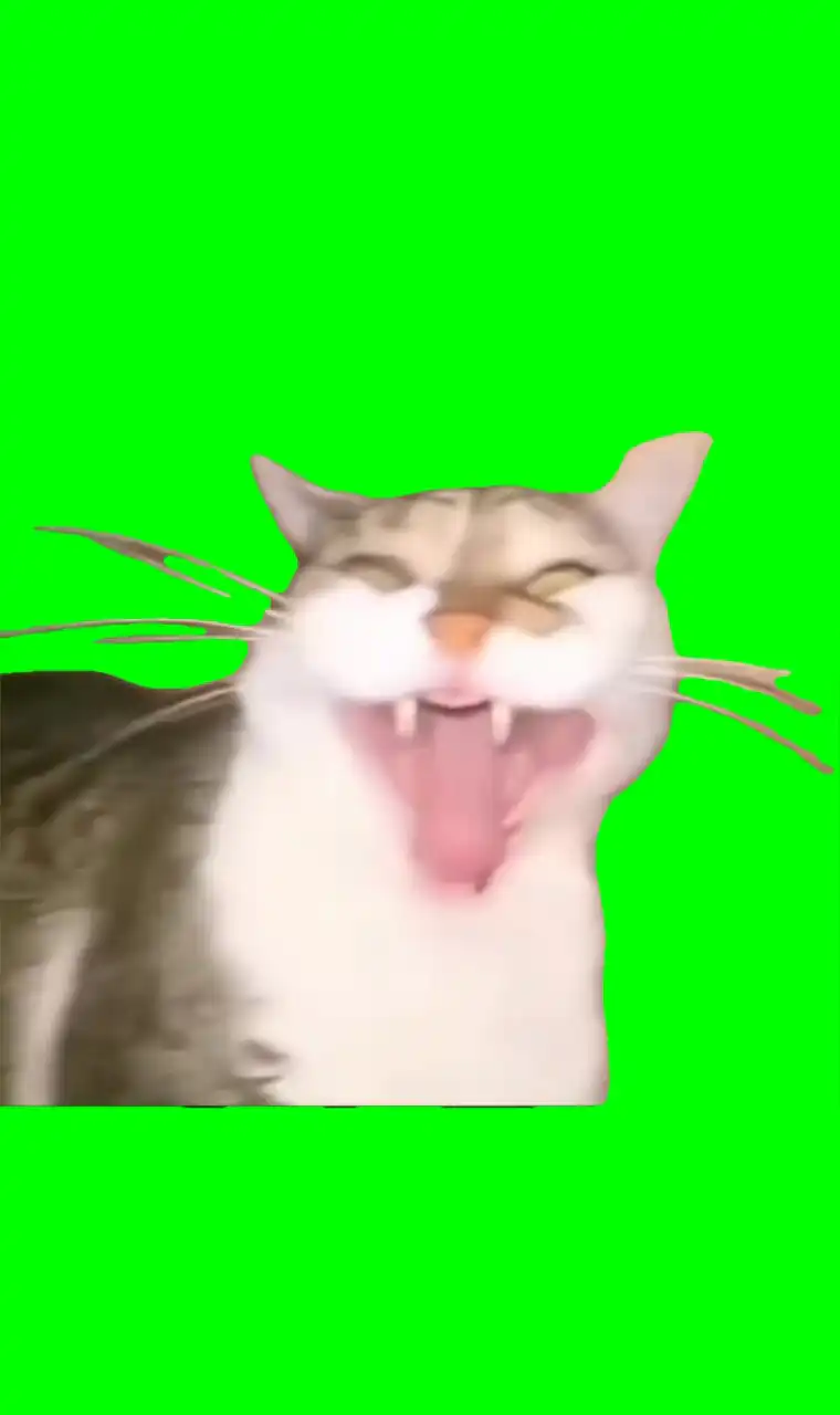 Screaming cat meme green screen