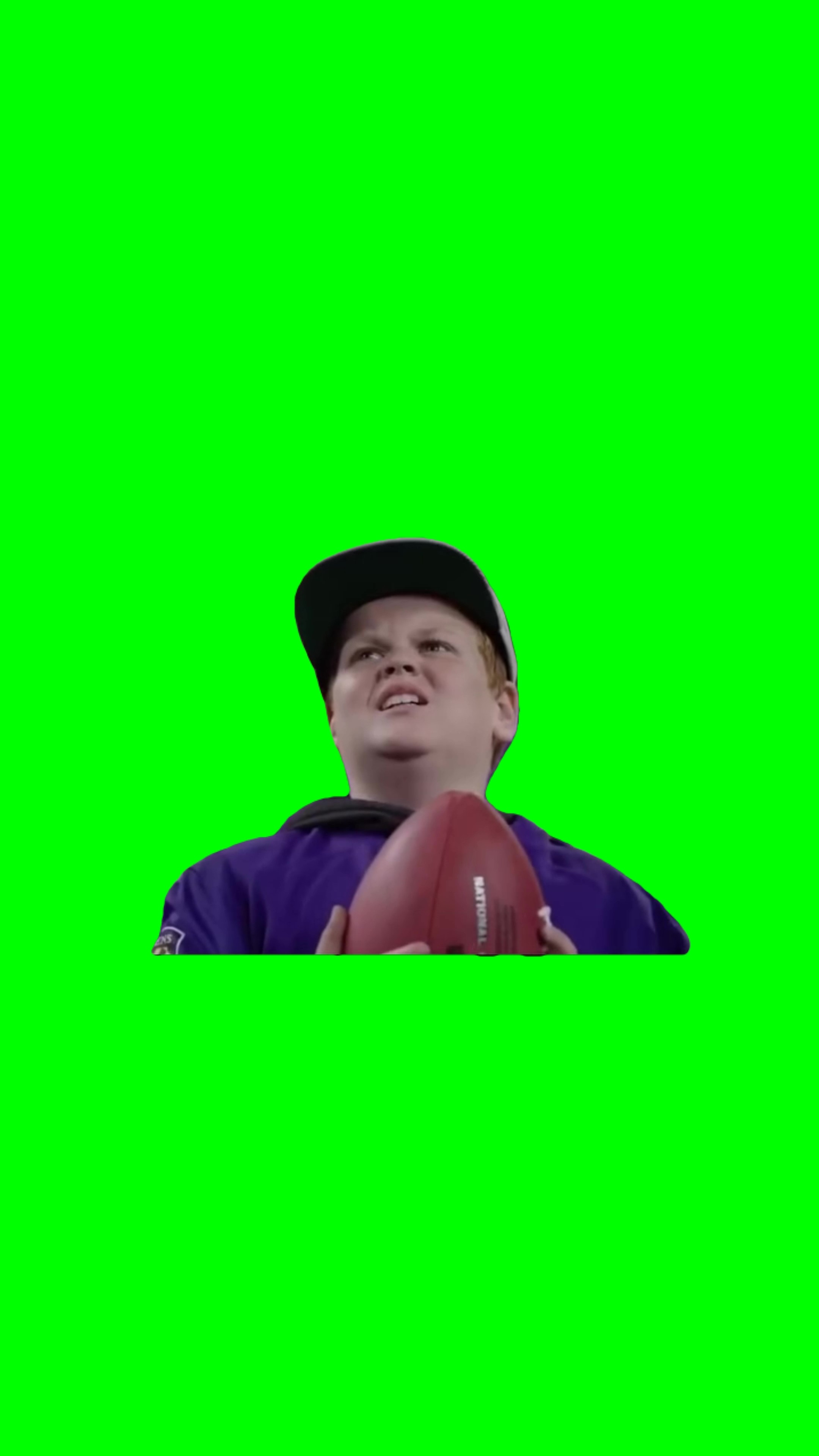 See I told you so Meme Green screen