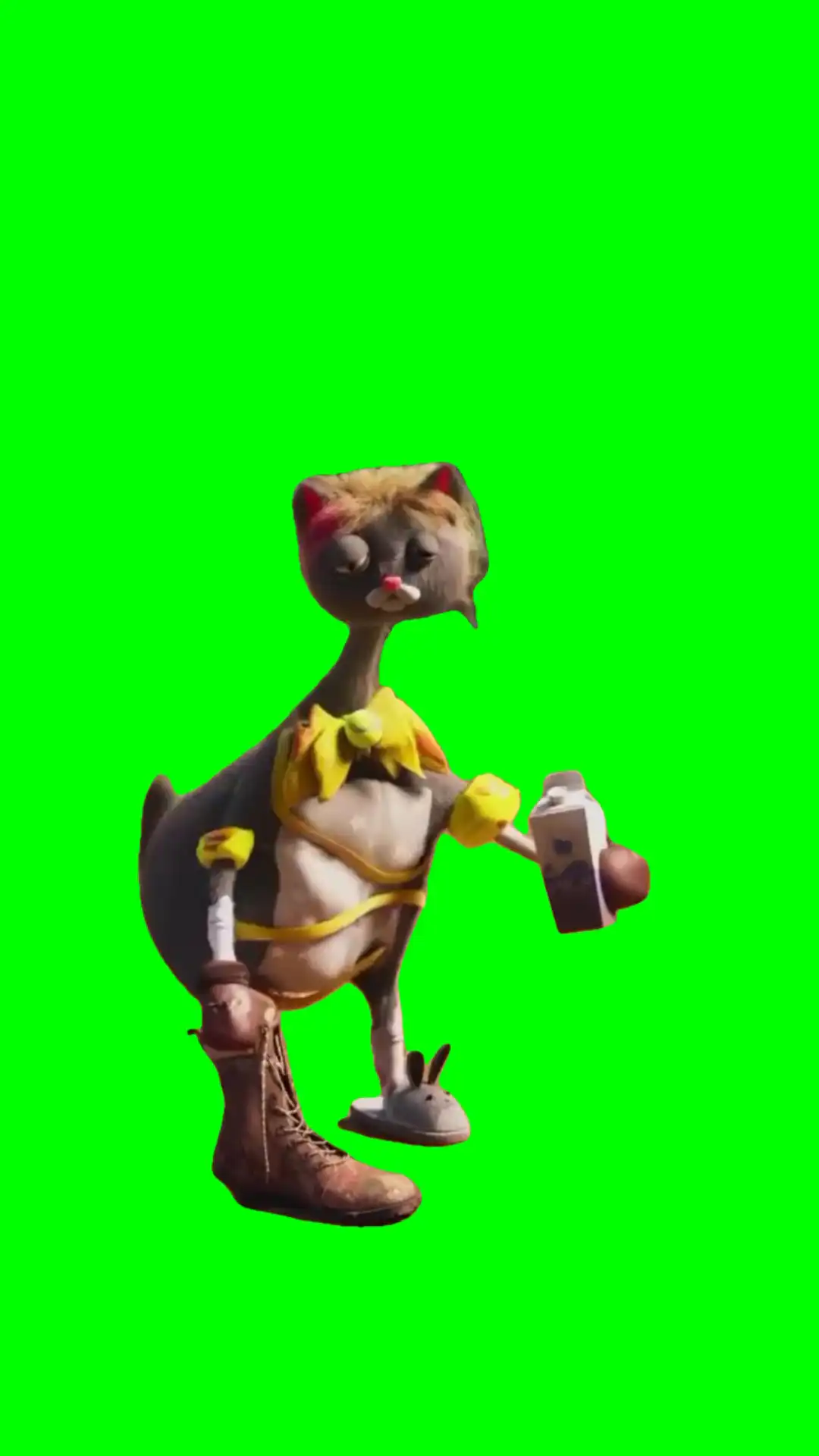 Shakira cat green screen