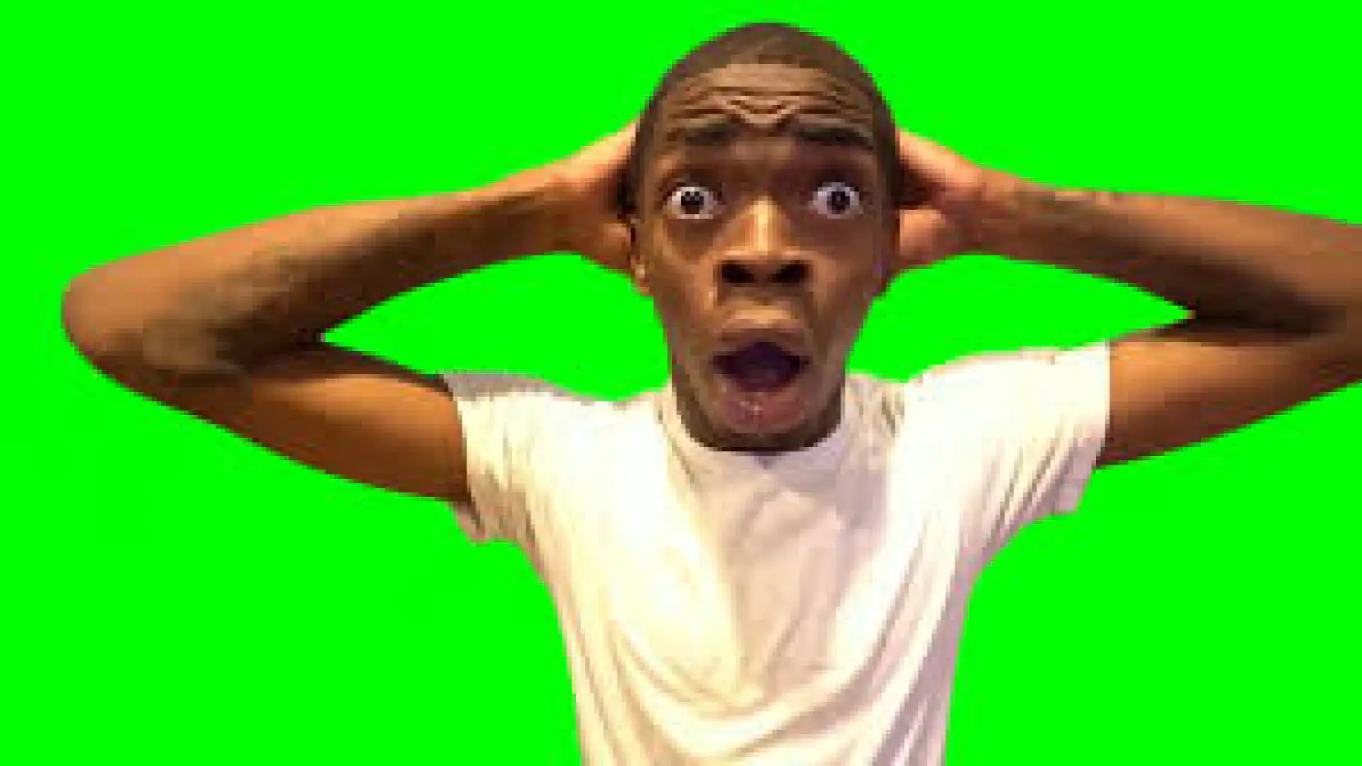 Shocked Guy Guy Twitter Reaction Meme Green Screen