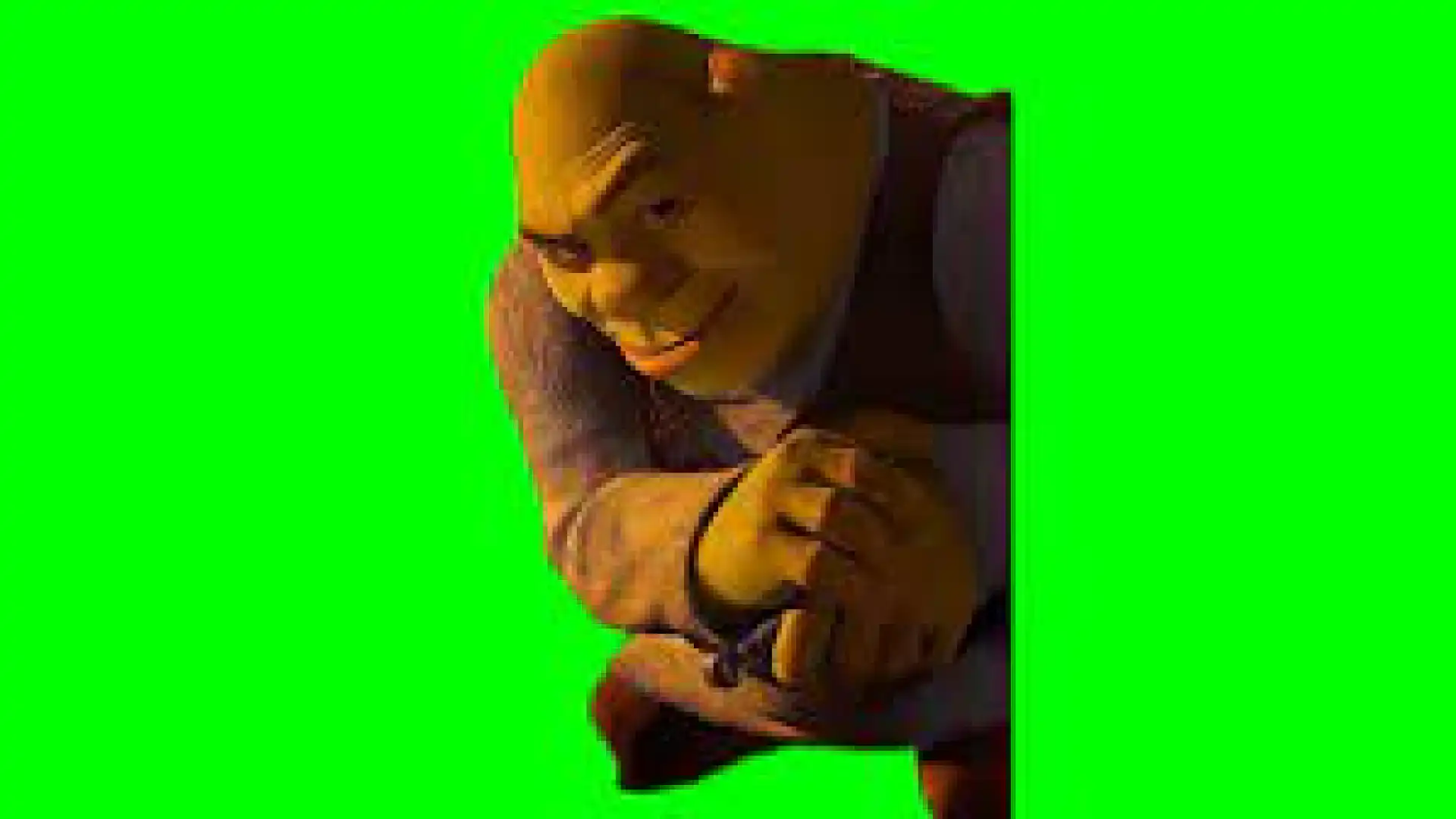 Shrek Rizz Green Screen