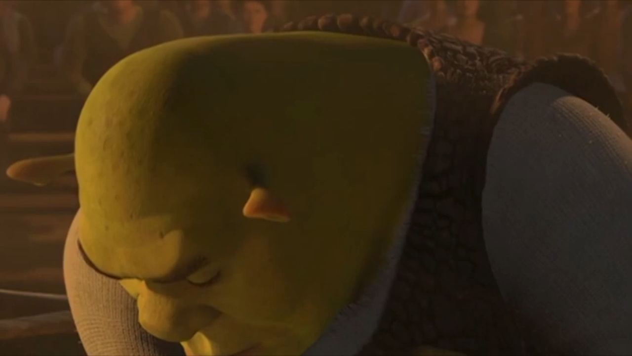 Shrek Rizz Meme