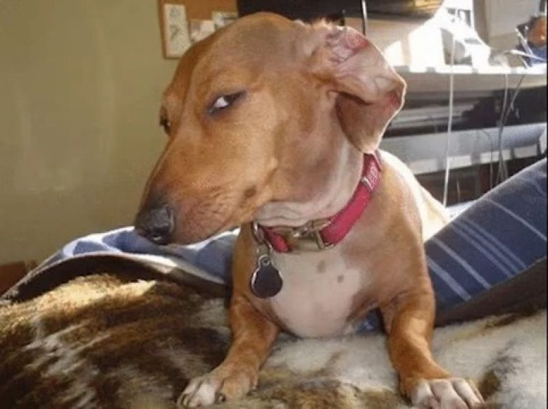 Side Eye Meme Template