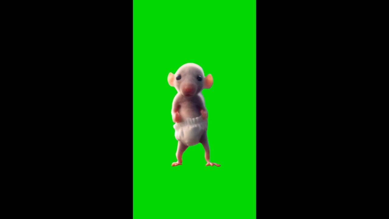 Sigma Rat Dancing Meme