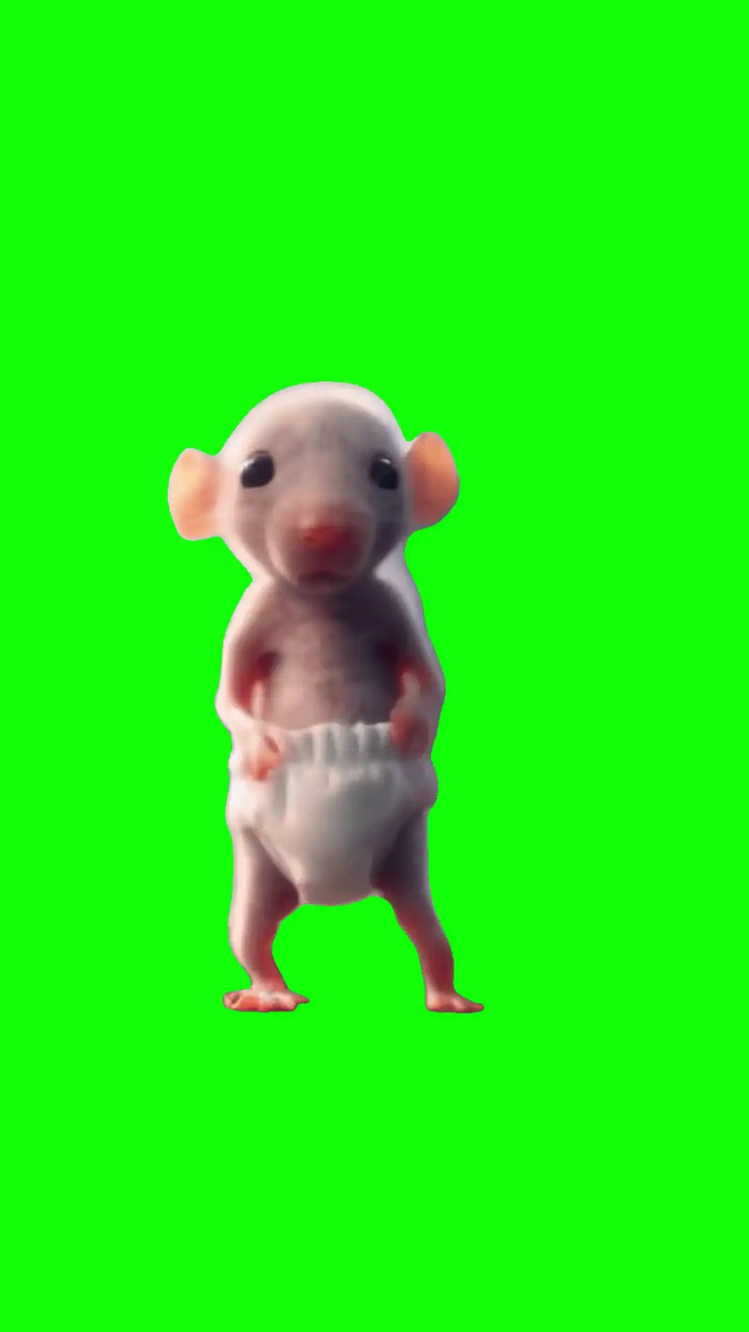 Sigma rat dansing meme green screen