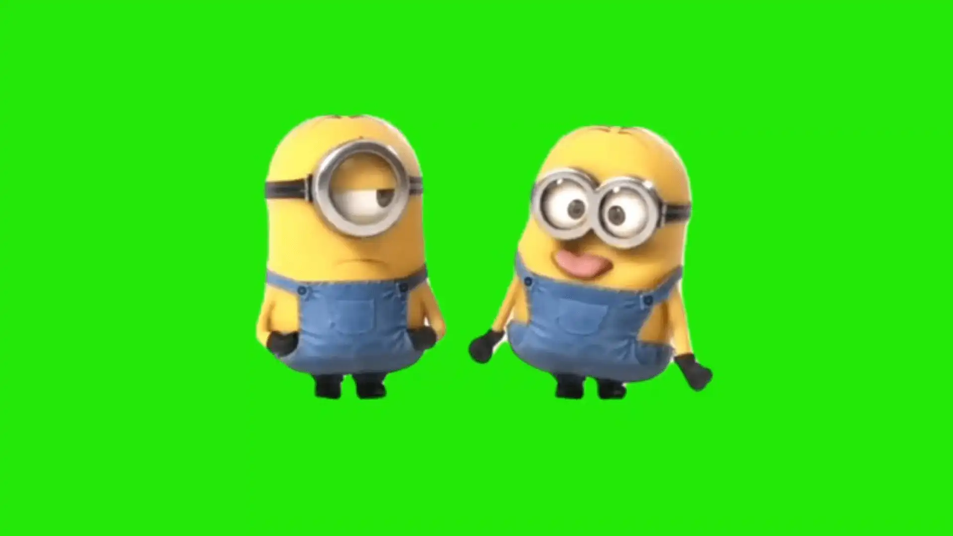 Silly Minions Meme Green screen