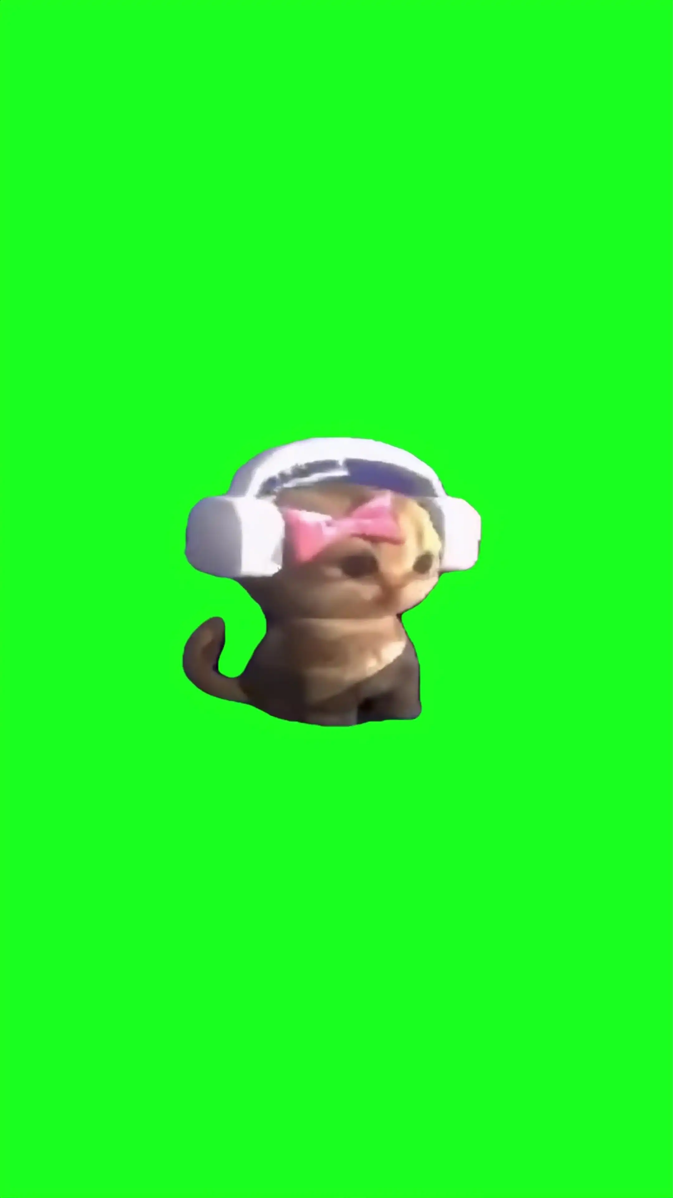 Sim kitten listening to music Green Screen Meme