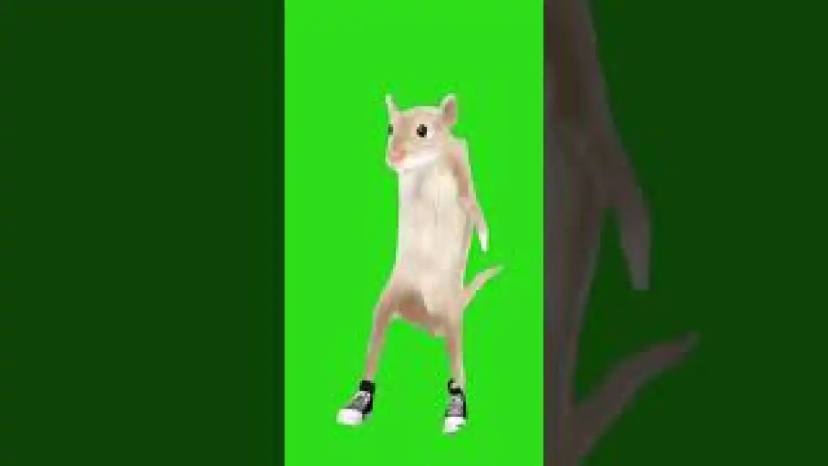 slickback green screen