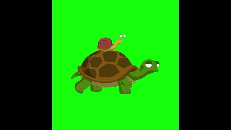 Slow Down Wanna Get There Alive Green Screen Memes