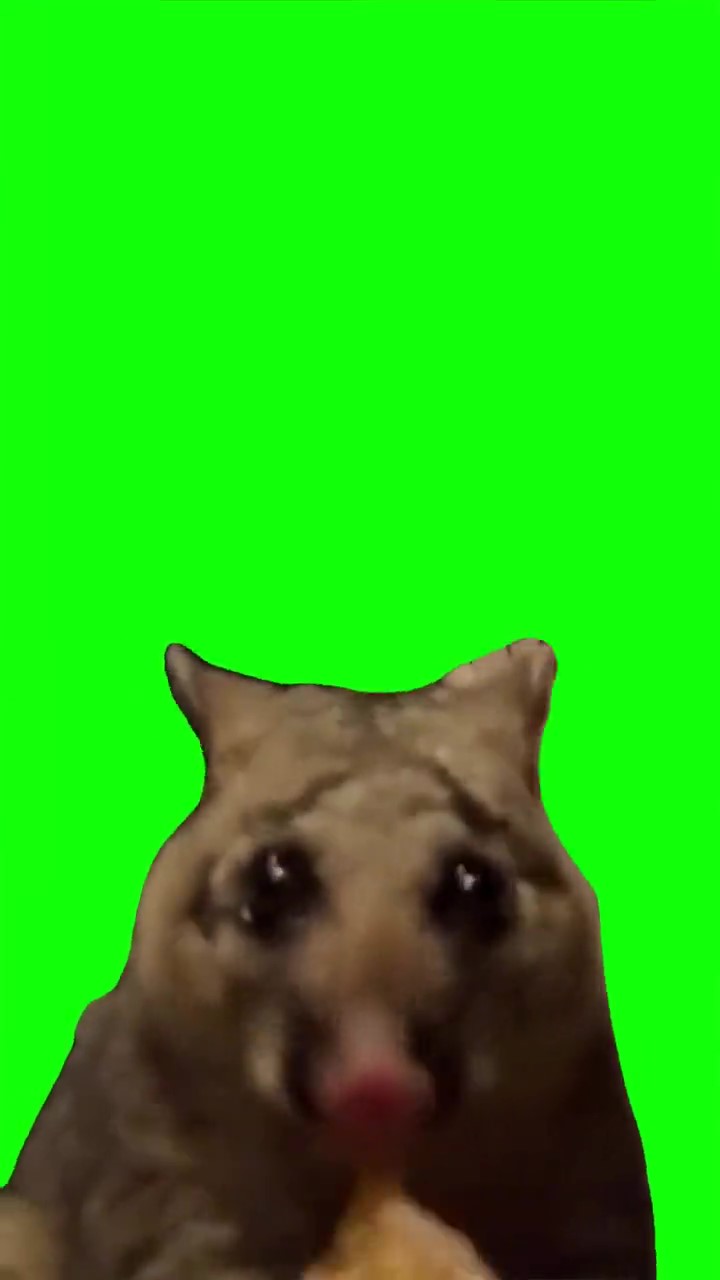 Smacking Lips Meme Green Screen