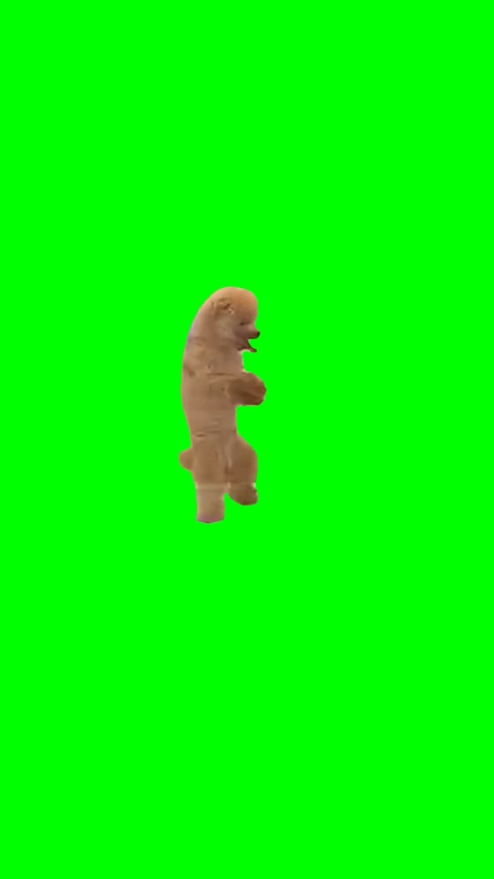 Sog dancing Meme Green Screen