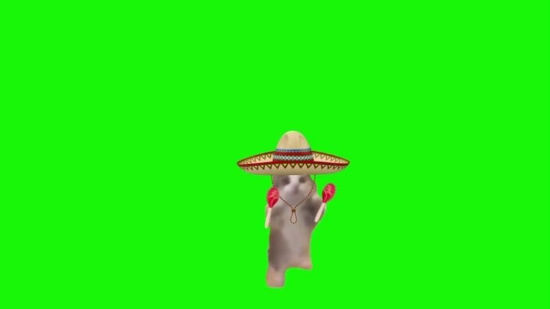 Spanish Happy Happy Cat Green Screen Memes