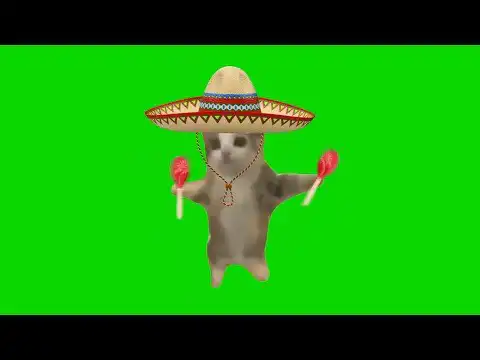 Spanish Happy Happy Happy Cat Green Screen