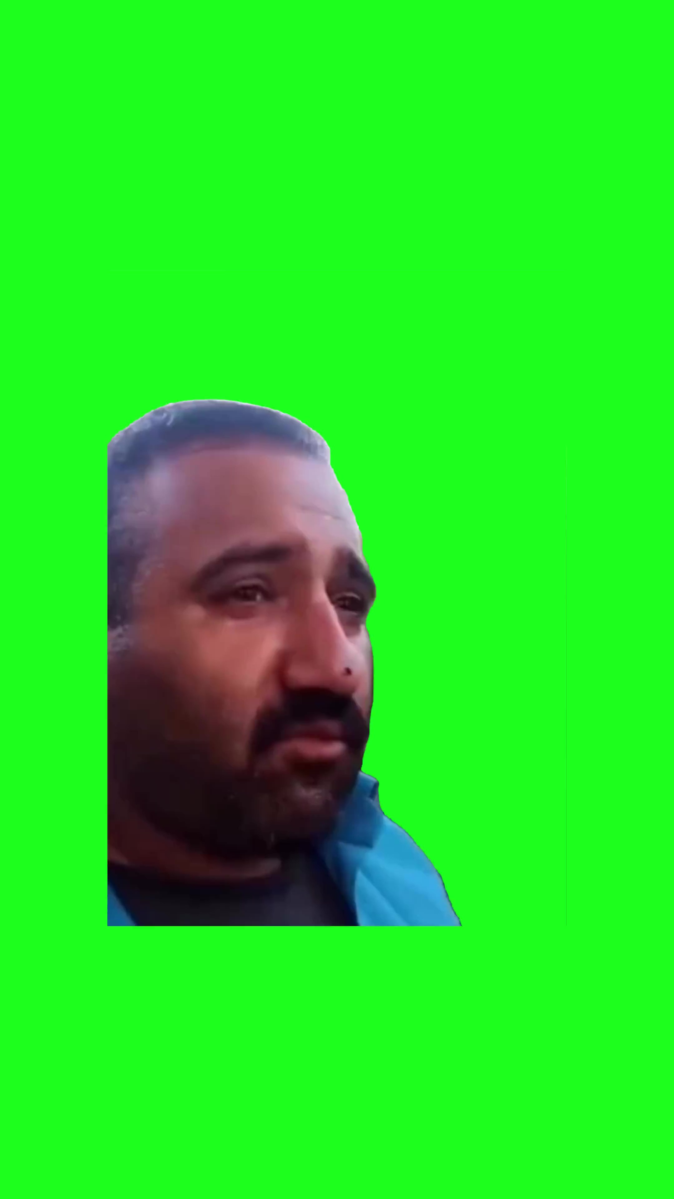 Speaking gibberish Green Screen Meme